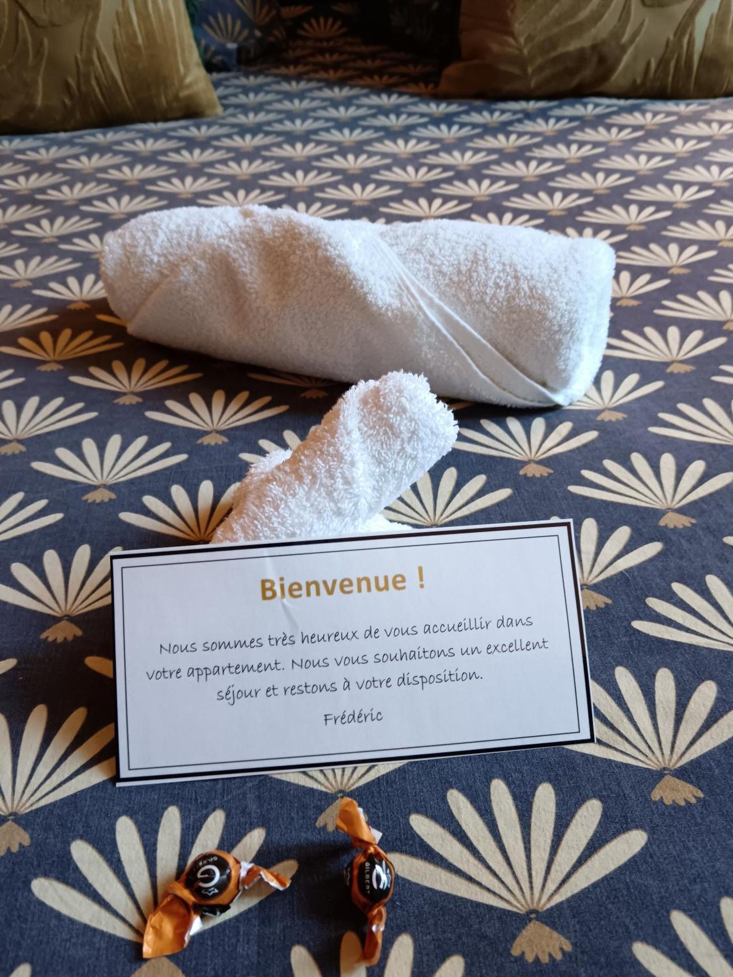 Apartment Vieille Stanislas Nancy
